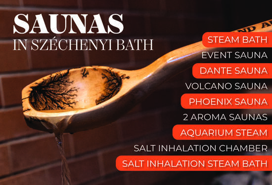 Saunas and steam rooms